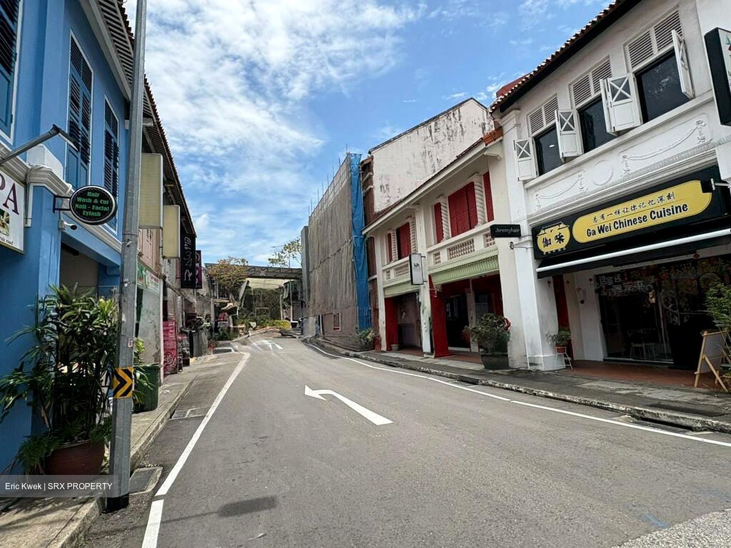 Veerasamy Road (D8), Shop House #496740491